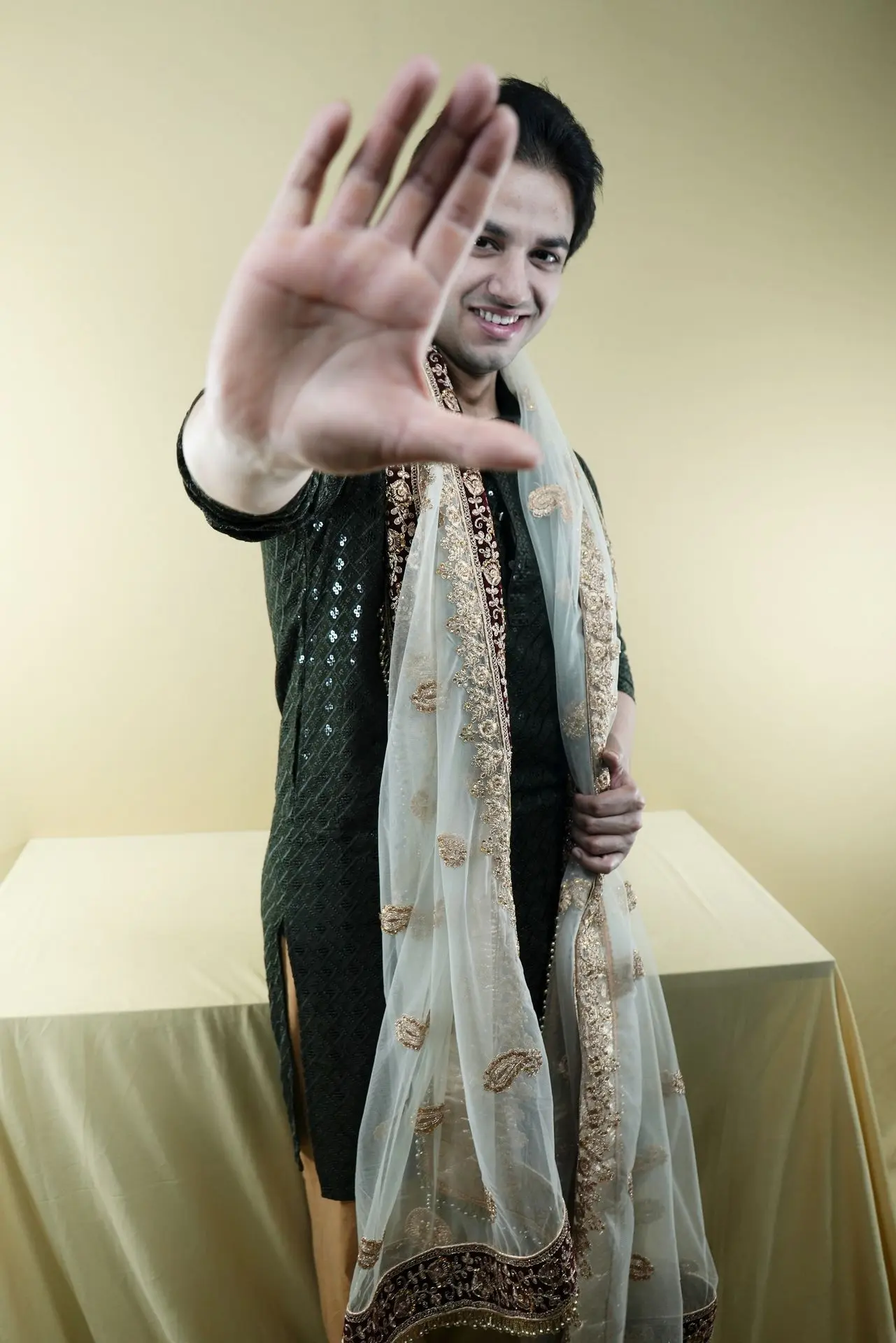 Pallav Viprakulkirti thepalakandpallav-Palak-Viprakulkirti-Pallav-Viprakulkirti-modelling