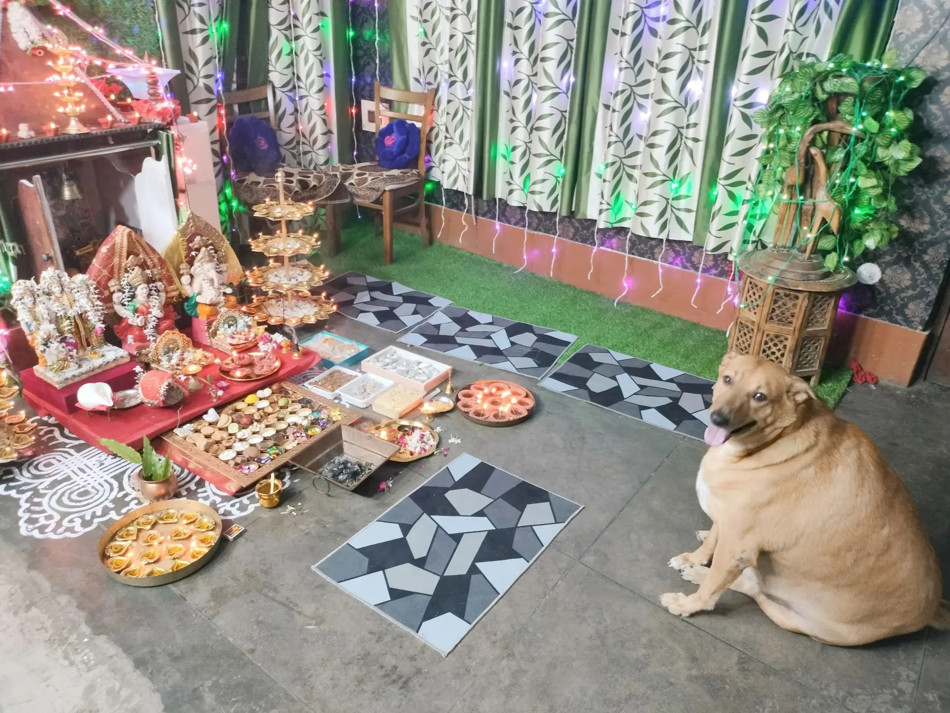 thepalakandpallav-Palak-Viprakulkirti-Pallav-Viprakulkirti-family-father-mother-mom-dad